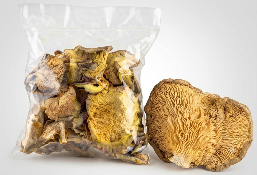 Hongos ostra deshidratados en bolsa