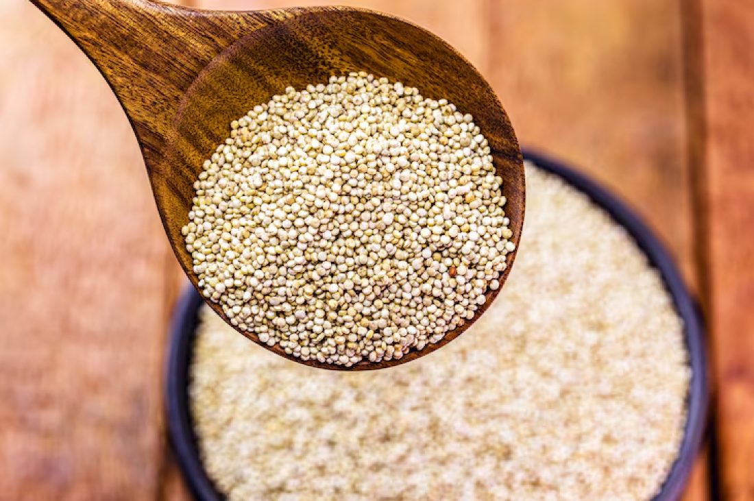 Grano de quinua cosechado